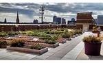 Taking a School Garden to New Heights:  How a Rooftop Garden Helped Transform an Urban Elementary School